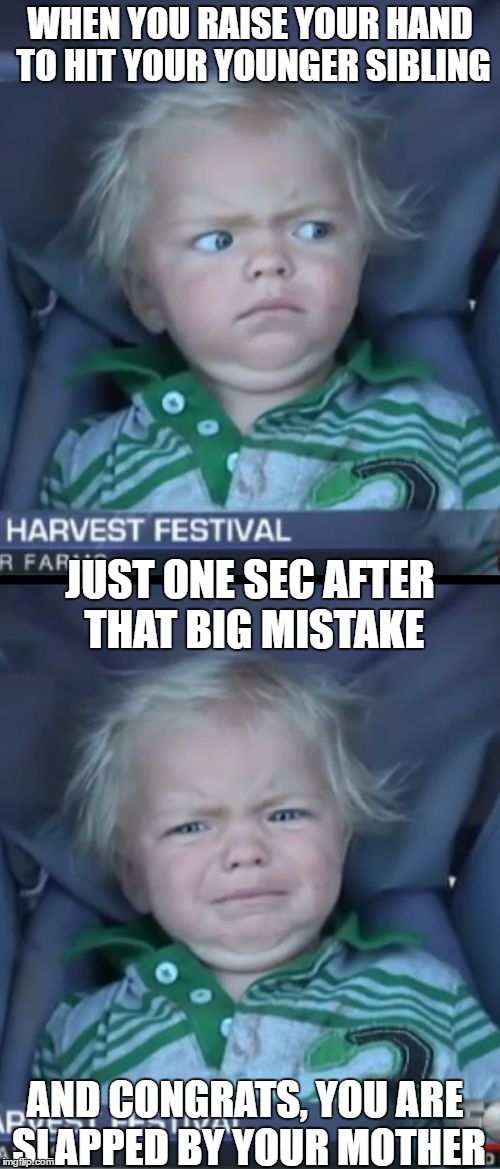 Baby Cry | WHEN YOU RAISE YOUR HAND TO HIT YOUR YOUNGER SIBLING; JUST ONE SEC AFTER THAT BIG MISTAKE; AND CONGRATS, YOU ARE SLAPPED BY YOUR MOTHER | image tagged in memes,baby cry | made w/ Imgflip meme maker