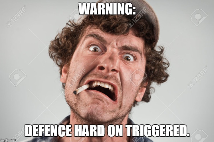 WARNING:; DEFENCE HARD ON TRIGGERED. | image tagged in special kind of stupid | made w/ Imgflip meme maker