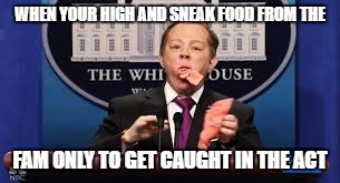 Spicy Spicer SNL Original |  WHEN YOUR HIGH AND SNEAK FOOD FROM THE; FAM ONLY TO GET CAUGHT IN THE ACT | image tagged in spicy spicer snl,memes,snl,melissa mccarthy,420 | made w/ Imgflip meme maker