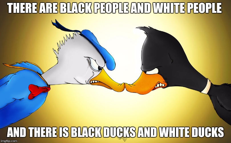 Daffy Vs Donald | THERE ARE BLACK PEOPLE AND WHITE PEOPLE; AND THERE IS BLACK DUCKS AND WHITE DUCKS | image tagged in daffy vs donald | made w/ Imgflip meme maker