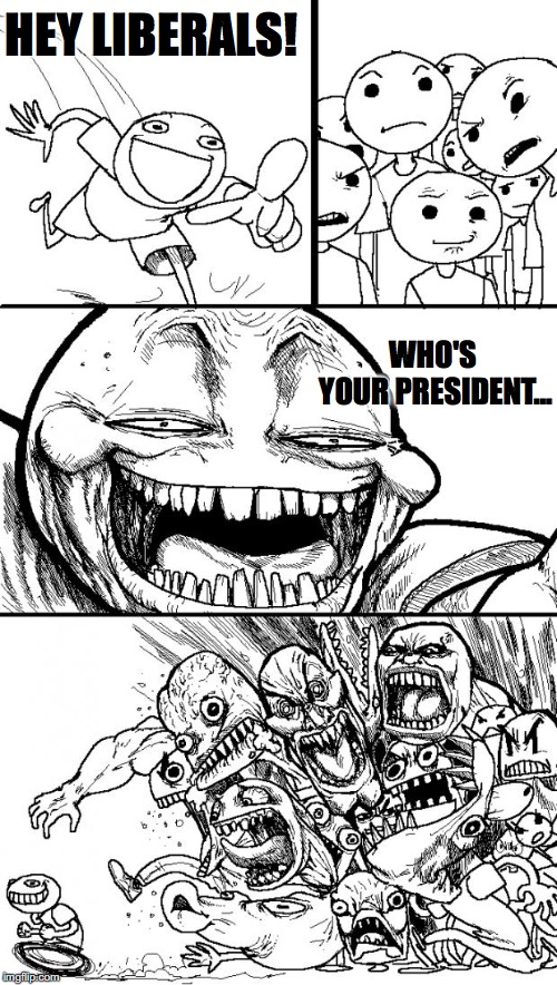 Hey Internet |  HEY LIBERALS! WHO'S YOUR PRESIDENT... | image tagged in memes,hey internet | made w/ Imgflip meme maker
