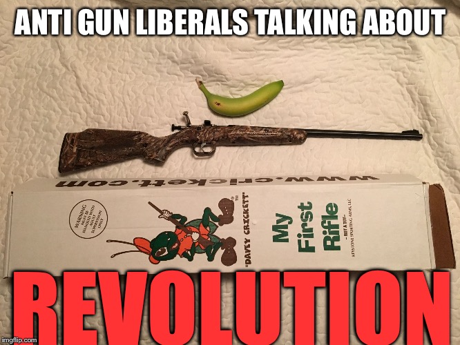 Anti gun revolution  | ANTI GUN LIBERALS TALKING ABOUT REVOLUTION | image tagged in anti gun revolution | made w/ Imgflip meme maker