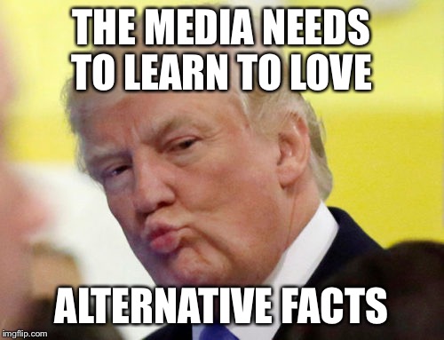 Rule thirty four | THE MEDIA NEEDS TO LEARN TO LOVE ALTERNATIVE FACTS | image tagged in rule thirty four | made w/ Imgflip meme maker
