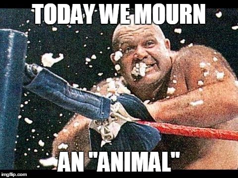 R.I.P George "The Animal" Steele | TODAY WE MOURN; AN "ANIMAL" | image tagged in wwe,pro wrestling | made w/ Imgflip meme maker