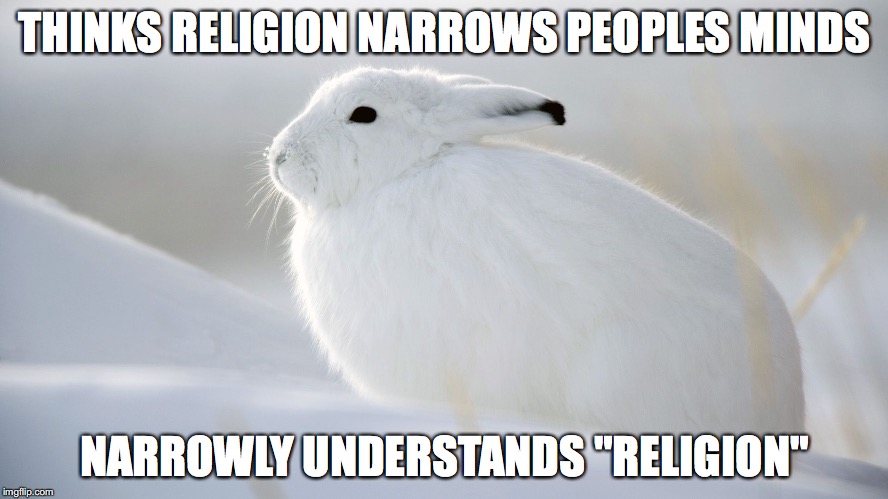 Radicalized Rabbit | THINKS RELIGION NARROWS PEOPLES MINDS; NARROWLY UNDERSTANDS "RELIGION" | image tagged in radicalized rabbit | made w/ Imgflip meme maker