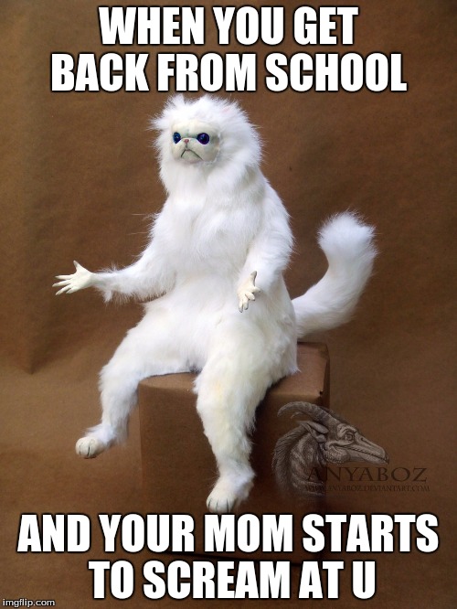 Persian Cat Room Guardian Single | WHEN YOU GET BACK FROM SCHOOL; AND YOUR MOM STARTS TO SCREAM AT U | image tagged in memes,persian cat room guardian single | made w/ Imgflip meme maker