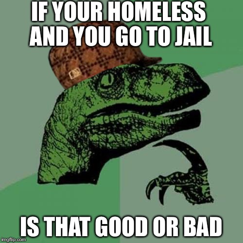 Philosoraptor | IF YOUR HOMELESS AND YOU GO TO JAIL; IS THAT GOOD OR BAD | image tagged in memes,philosoraptor,scumbag | made w/ Imgflip meme maker