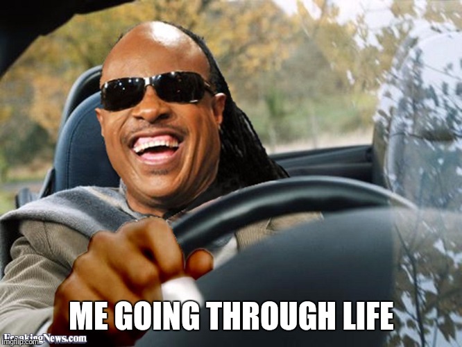 Stevie Wonder Driving | ME GOING THROUGH LIFE | image tagged in stevie wonder driving | made w/ Imgflip meme maker