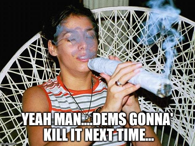 dems win | YEAH MAN....DEMS GONNA' KILL IT NEXT TIME... | image tagged in democrat,high | made w/ Imgflip meme maker