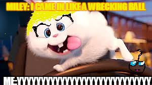 Secret Life of Pets - Snowball #2 | MILEY: I CAME IN LIKE A WRECKING BALL; ME:YYYYYYYYYYYYYYYYYYYYYYYYYYYY | image tagged in secret life of pets - snowball 2 | made w/ Imgflip meme maker