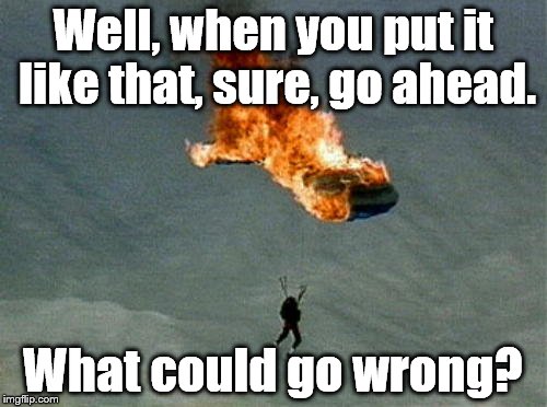 orange parachute | Well, when you put it like that, sure, go ahead. What could go wrong? | image tagged in orange parachute | made w/ Imgflip meme maker
