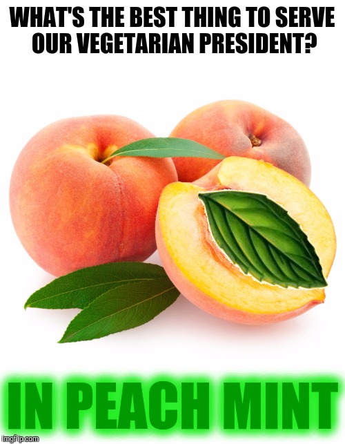 Republicans wanted to make Obama a 1 term president. Will Congress give Trump that much time? | WHAT'S THE BEST THING TO SERVE OUR VEGETARIAN PRESIDENT? IN PEACH MINT | image tagged in donald trump,impeachment | made w/ Imgflip meme maker