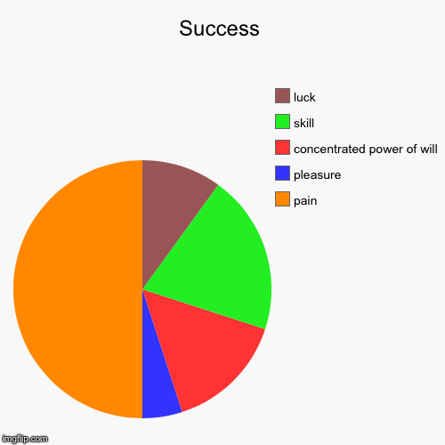 And A 100% Reason To Remember The Name | image tagged in funny,pie charts,foxcheetahsp | made w/ Imgflip chart maker