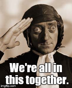 Marty Feldman copy that! | We're all in this together. | image tagged in copy that | made w/ Imgflip meme maker