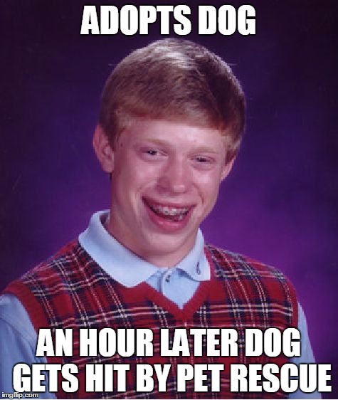 Bad Luck Brian | ADOPTS DOG; AN HOUR LATER DOG GETS HIT BY PET RESCUE | image tagged in memes,bad luck brian | made w/ Imgflip meme maker