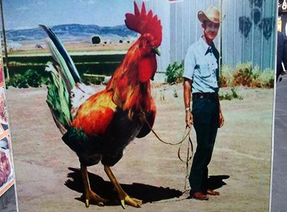 High Quality Giant cock Blank Meme Template