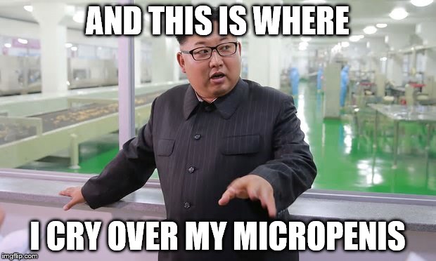 Kim Jong Un - Explaining Something | AND THIS IS WHERE; I CRY OVER MY MICROPENIS | image tagged in kim jong un - explaining something | made w/ Imgflip meme maker