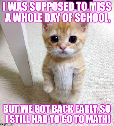 Cute Cat | I WAS SUPPOSED TO MISS A WHOLE DAY OF SCHOOL, BUT WE GOT BACK EARLY, SO I STILL HAD TO GO TO MATH! | image tagged in memes,cute cat | made w/ Imgflip meme maker