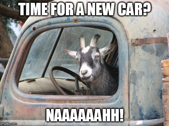 GoatDriving | TIME FOR A NEW CAR? NAAAAAAHH! | image tagged in goatdriving | made w/ Imgflip meme maker