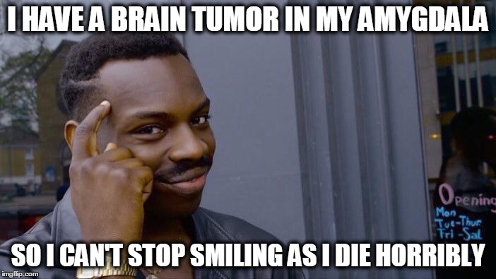 Roll Safe Think About It | I HAVE A BRAIN TUMOR IN MY AMYGDALA; SO I CAN'T STOP SMILING AS I DIE HORRIBLY | image tagged in roll safe think about it | made w/ Imgflip meme maker