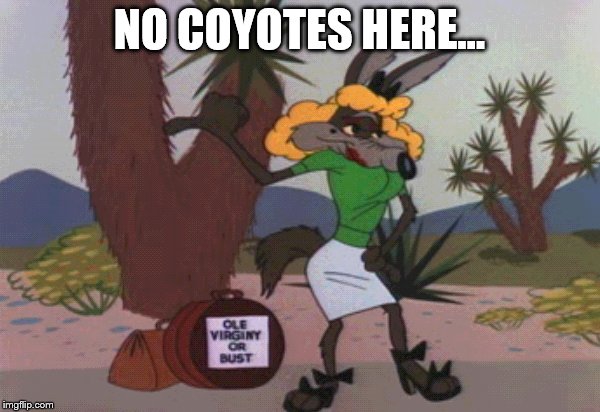 NO COYOTES HERE... | made w/ Imgflip meme maker