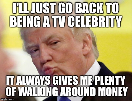 Rule thirty four | I'LL JUST GO BACK TO BEING A TV CELEBRITY IT ALWAYS GIVES ME PLENTY OF WALKING AROUND MONEY | image tagged in rule thirty four | made w/ Imgflip meme maker