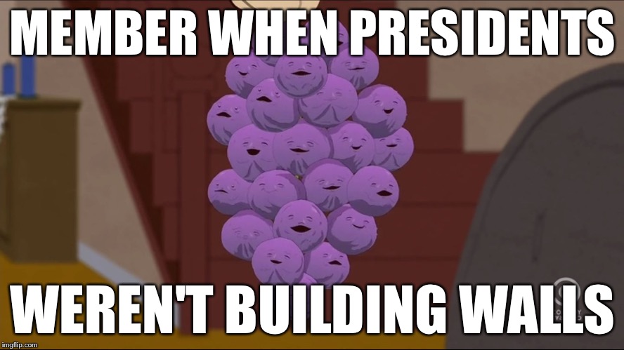 Member Berries | MEMBER WHEN PRESIDENTS; WEREN'T BUILDING WALLS | image tagged in memes,member berries | made w/ Imgflip meme maker