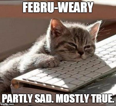 Tired Cat | FEBRU-WEARY; PARTLY SAD. MOSTLY TRUE. | image tagged in tired cat | made w/ Imgflip meme maker
