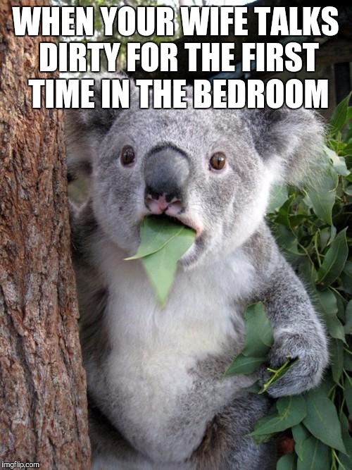 ..she got a mouth like a sailor | WHEN YOUR WIFE TALKS DIRTY FOR THE FIRST TIME IN THE BEDROOM | image tagged in trucker,surprised koala | made w/ Imgflip meme maker