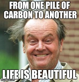 Jack Nicholson Crazy Hair | FROM ONE PILE OF CARBON TO ANOTHER; LIFE IS BEAUTIFUL | image tagged in jack nicholson crazy hair | made w/ Imgflip meme maker