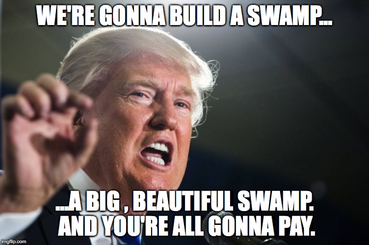 donald trump | WE'RE GONNA BUILD A SWAMP... ...A BIG , BEAUTIFUL SWAMP. AND YOU'RE ALL GONNA PAY. | image tagged in donald trump | made w/ Imgflip meme maker