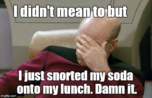 Captain Picard Facepalm Meme | I didn't mean to but I just snorted my soda onto my lunch. Damn it. | image tagged in memes,captain picard facepalm | made w/ Imgflip meme maker