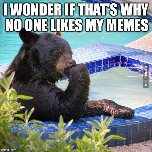 Ponder bear | I WONDER IF THAT'S WHY NO ONE LIKES MY MEMES | image tagged in ponder bear | made w/ Imgflip meme maker