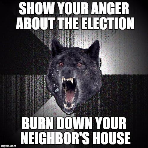Insanity Wolf Meme | SHOW YOUR ANGER ABOUT THE ELECTION; BURN DOWN YOUR NEIGHBOR'S HOUSE | image tagged in memes,insanity wolf | made w/ Imgflip meme maker