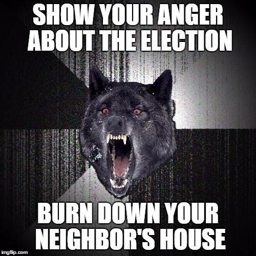 Insanity Wolf | SHOW YOUR ANGER ABOUT THE ELECTION; BURN DOWN YOUR NEIGHBOR'S HOUSE | image tagged in memes,insanity wolf | made w/ Imgflip meme maker