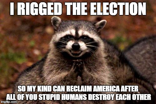 Evil Plotting Raccoon Meme | I RIGGED THE ELECTION; SO MY KIND CAN RECLAIM AMERICA AFTER ALL OF YOU STUPID HUMANS DESTROY EACH OTHER | image tagged in memes,evil plotting raccoon | made w/ Imgflip meme maker