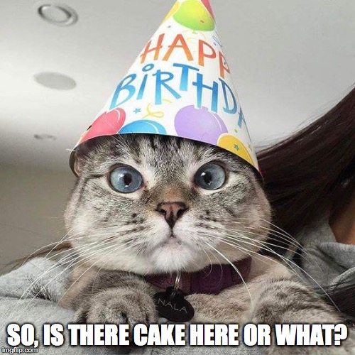 SO, IS THERE CAKE HERE OR WHAT? | made w/ Imgflip meme maker