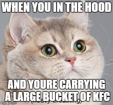 Heavy Breathing Cat Meme | WHEN YOU IN THE HOOD; AND YOURE CARRYING A LARGE BUCKET OF KFC | image tagged in memes,heavy breathing cat | made w/ Imgflip meme maker