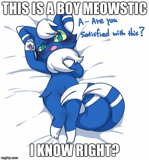 THIS IS A FRIKIN BOY MEOWSTIC |  THIS IS A BOY MEOWSTIC; I KNOW RIGHT? | image tagged in meowstic | made w/ Imgflip meme maker