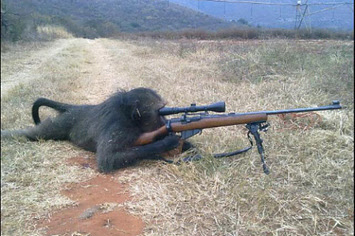 High Quality Monkey Sniper Blank Meme Template