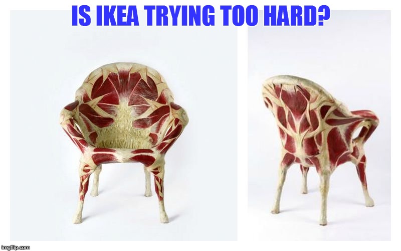 This would go great in the hospital cafeteria | IS IKEA TRYING TOO HARD? | image tagged in memes,chair | made w/ Imgflip meme maker