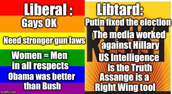 Liberal vs. Libtard | Assange is a Right Wing tool; Obama was better than Bush | image tagged in liberal,libtard | made w/ Imgflip meme maker