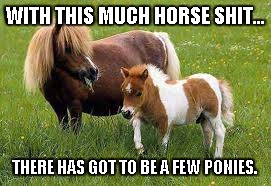 there's got to be a few ponies | WITH THIS MUCH HORSE SHIT... THERE HAS GOT TO BE A FEW PONIES. | image tagged in horse shit,ponies | made w/ Imgflip meme maker