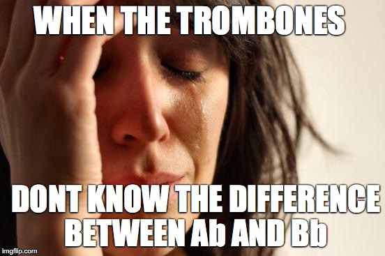 First World Problems Meme | WHEN THE TROMBONES; DONT KNOW THE DIFFERENCE BETWEEN Ab AND Bb | image tagged in memes,first world problems | made w/ Imgflip meme maker