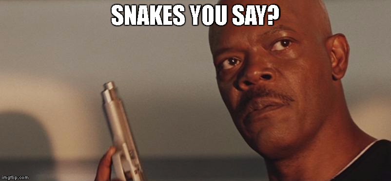 Samuel Jackson Snakes | SNAKES YOU SAY? | image tagged in samuel jackson snakes | made w/ Imgflip meme maker