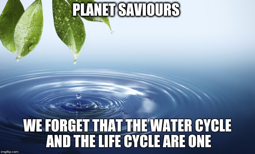 Water conservation | PLANET SAVIOURS; WE FORGET THAT THE WATER CYCLE AND THE LIFE CYCLE ARE ONE | image tagged in quotes | made w/ Imgflip meme maker