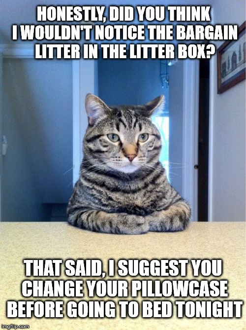 The boss wants a word with you | HONESTLY, DID YOU THINK I WOULDN'T NOTICE THE BARGAIN LITTER IN THE LITTER BOX? THAT SAID, I SUGGEST YOU CHANGE YOUR PILLOWCASE BEFORE GOING TO BED TONIGHT | image tagged in memes,take a seat cat | made w/ Imgflip meme maker