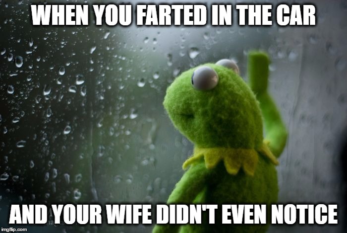When You Farted In the Car | WHEN YOU FARTED IN THE CAR; AND YOUR WIFE DIDN'T EVEN NOTICE | image tagged in kermit window,fart,farting,car | made w/ Imgflip meme maker