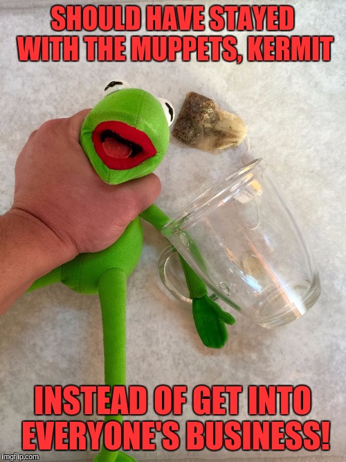 Mind Your Own Businesd | SHOULD HAVE STAYED WITH THE MUPPETS, KERMIT; INSTEAD OF GET INTO EVERYONE'S BUSINESS! | image tagged in mind your own businesd,memes | made w/ Imgflip meme maker