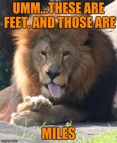 Cecil | UMM...THESE ARE FEET, AND THOSE ARE MILES | image tagged in cecil | made w/ Imgflip meme maker